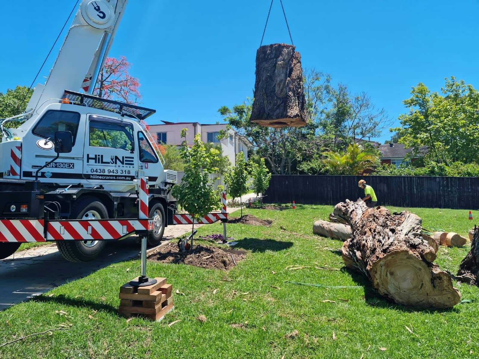Tree removal completed project